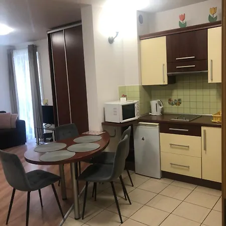 Apartament Studio Apartment